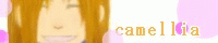 camellia/���l�l